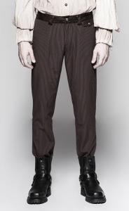 Brown man pants white stripes, elegant steampunk aristocrat