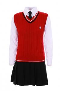 Schoolgirl Outfit Japanese Korean cosplay red and black